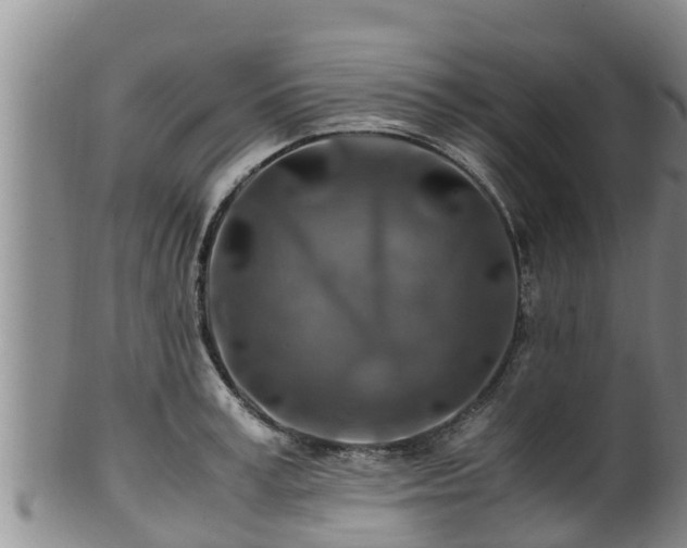 X0000100880995200806271133