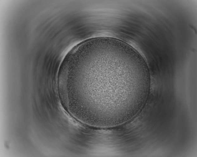 X0000100880996200806271133