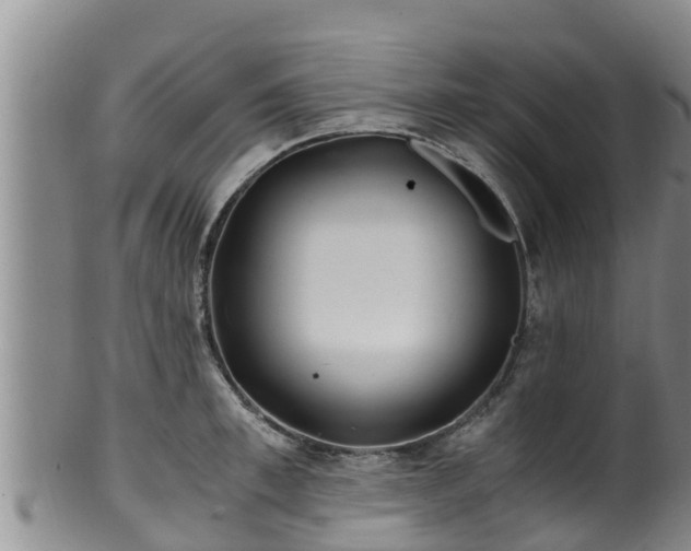 X0000100880997200806271133