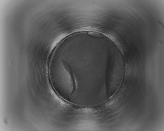 X0000100880998200806271133