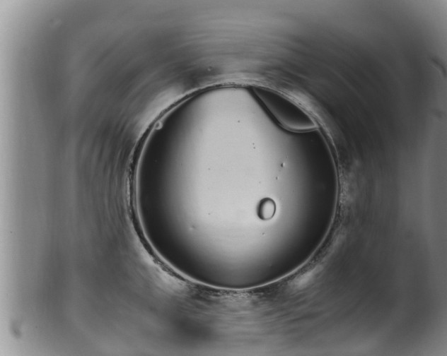 X0000100880999200806271133