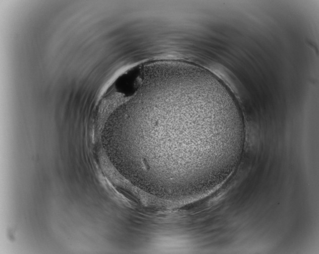 X0000100881000200806271133