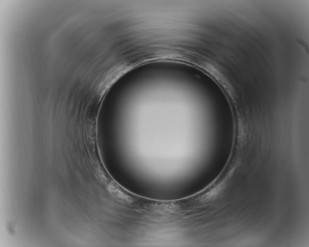 X0000100881001200806271133