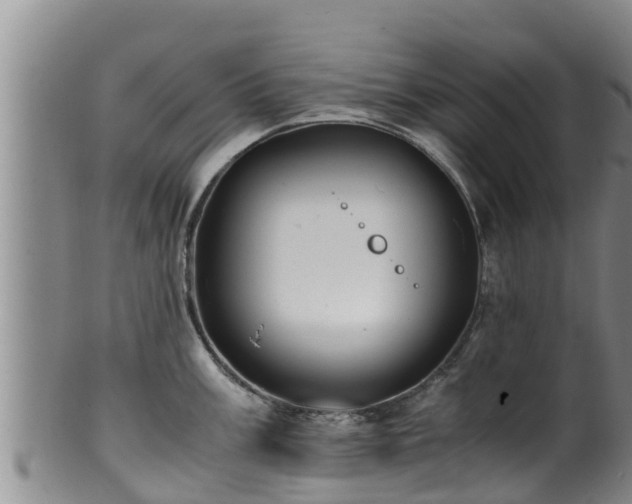 X0000100881003200806271132