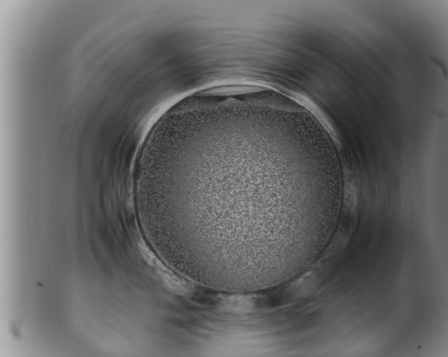 X0000100881004200806271132