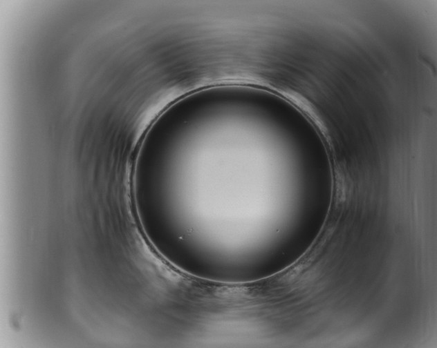 X0000100881006200806271132