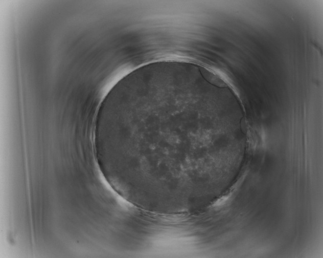 X0000100881007200806271132