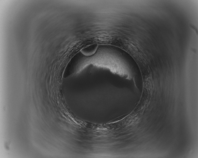 X0000100881009200806271132