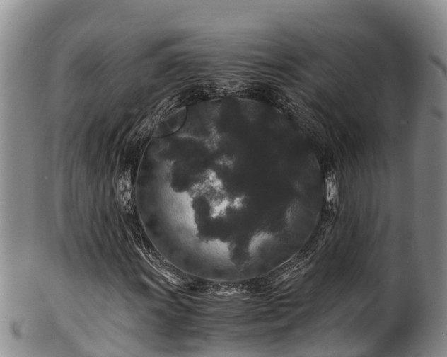 X0000100881011200806271132