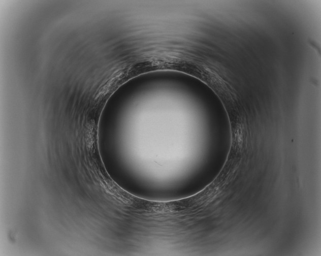 X0000100881012200806271132