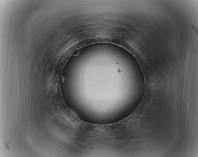 X0000100881015200806271132