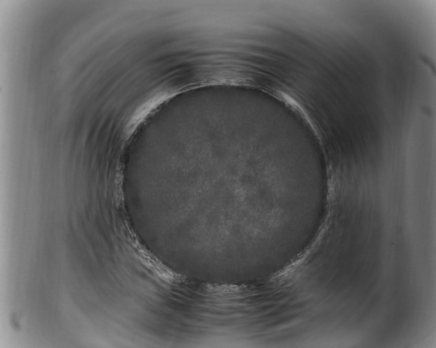 X0000100881019200806271132