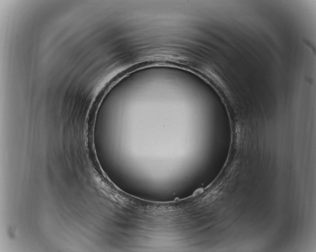 X0000100881020200806271132