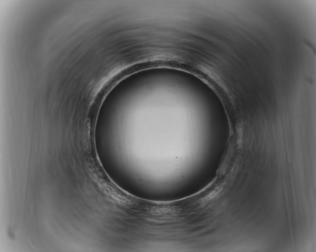 X0000100881021200806271132