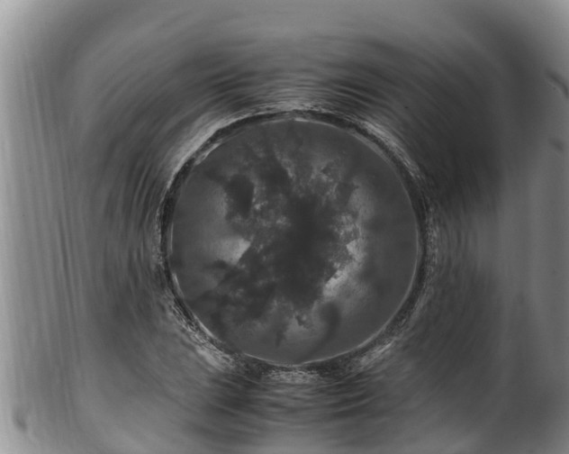 X0000100881023200806271132