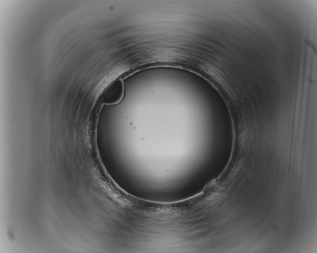 X0000100881026200806271132