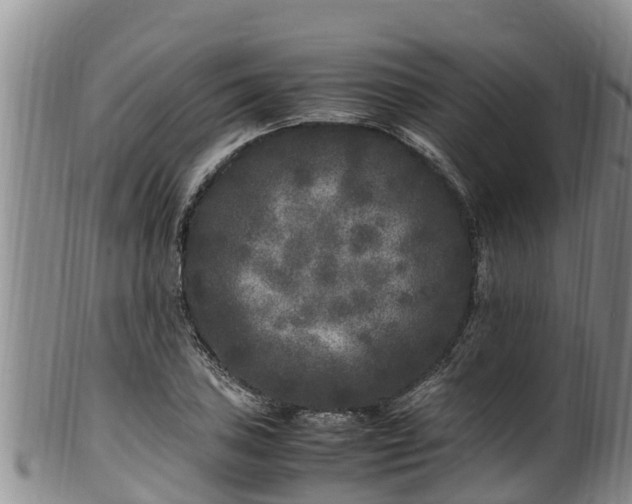 X0000100881027200806271132