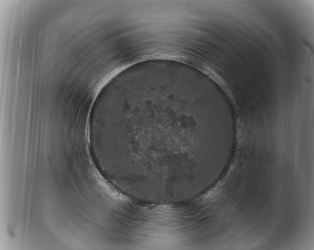 X0000100881028200806271132