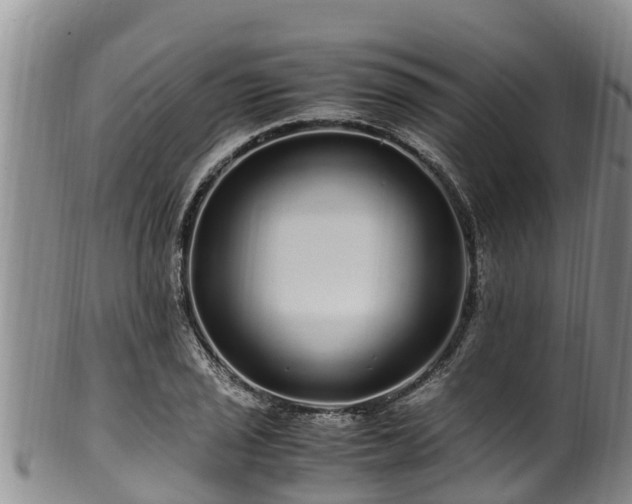 X0000100881029200806271132