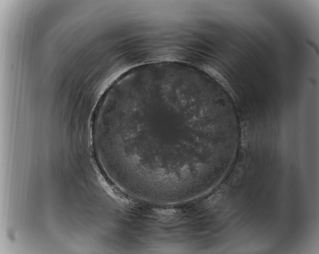 X0000100881031200806271132