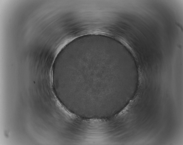 X0000100881032200806271132