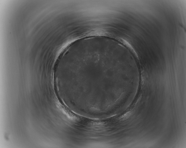 X0000100881035200806271132