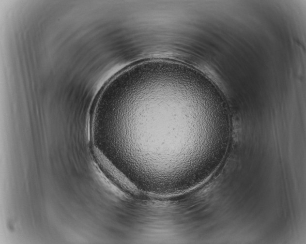 X0000100881036200806271132