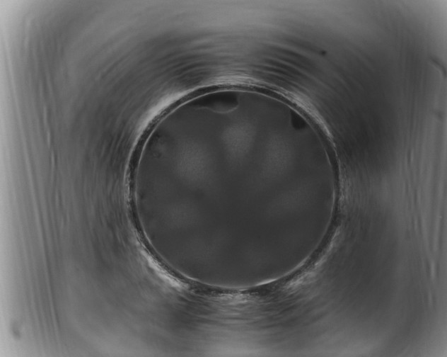 X0000100881037200806271132