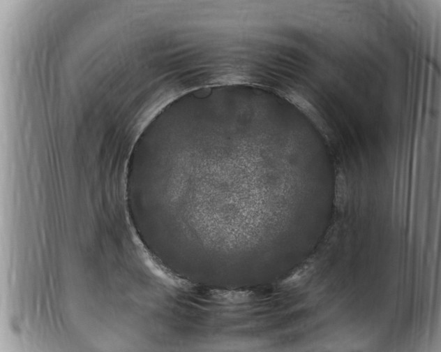 X0000100881039200806271132