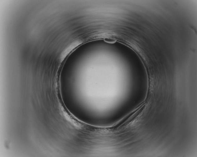 X0000100881042200806271132