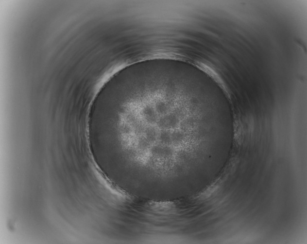 X0000100881043200806271132