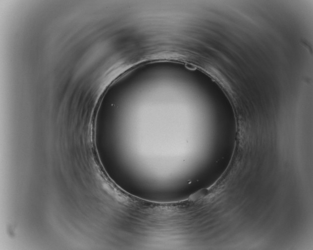 X0000100881044200806271132