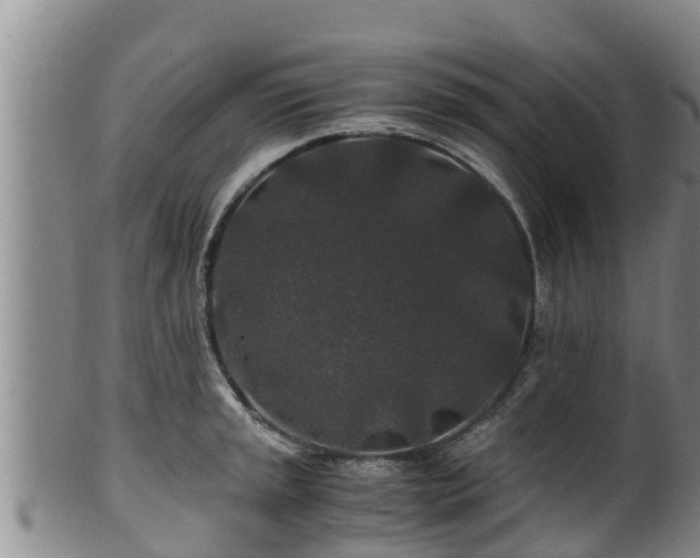 X0000100881045200806271132