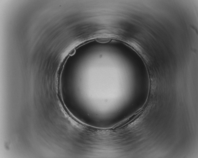 X0000100881046200806271132