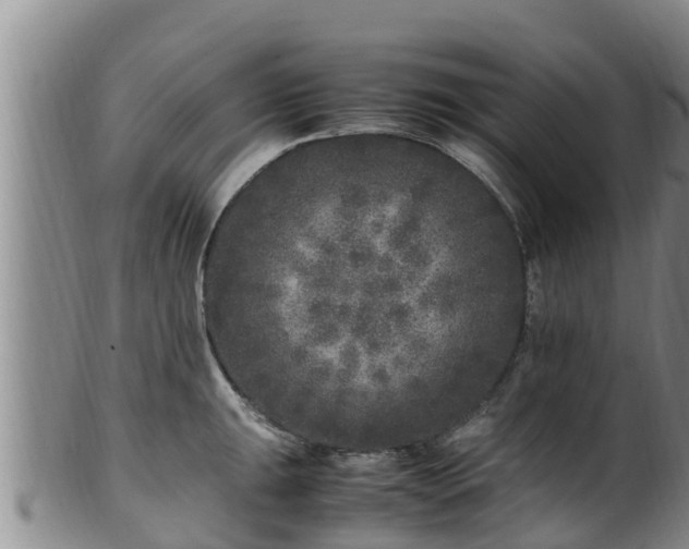 X0000100881047200806271132