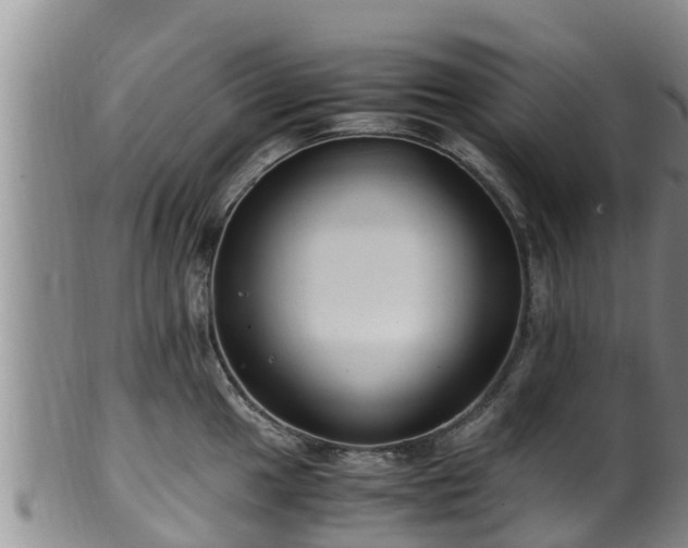 X0000100881049200806271132