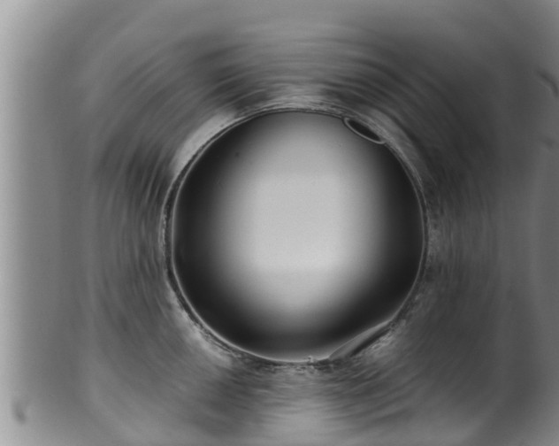 X0000100881050200806271132