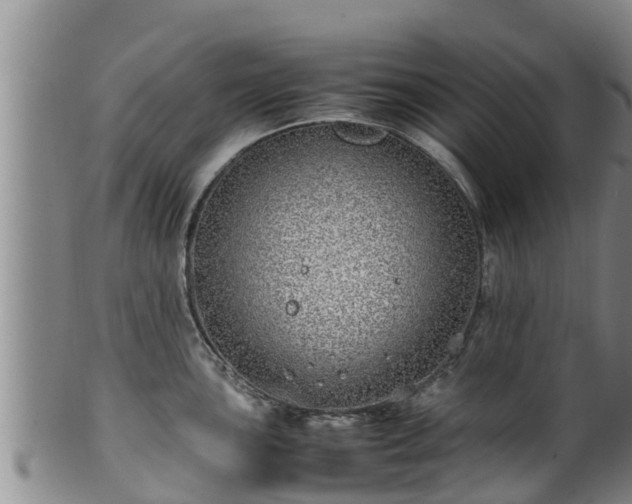 X0000100881051200806271132