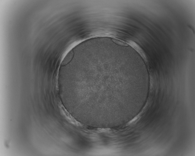 X0000100881052200806271132