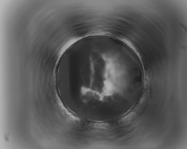 X0000100881053200806271132