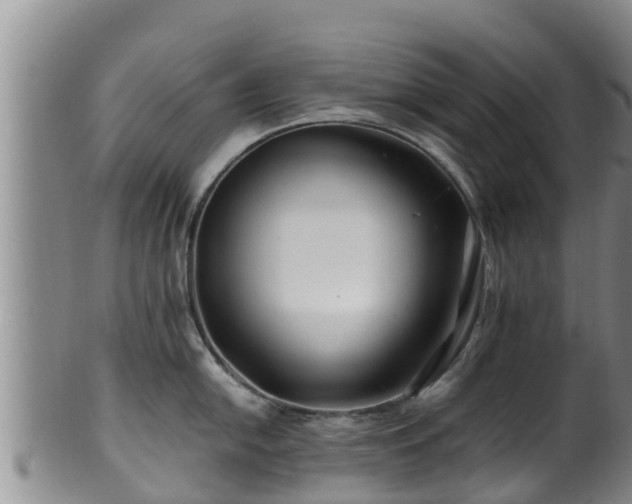 X0000100881054200806271132