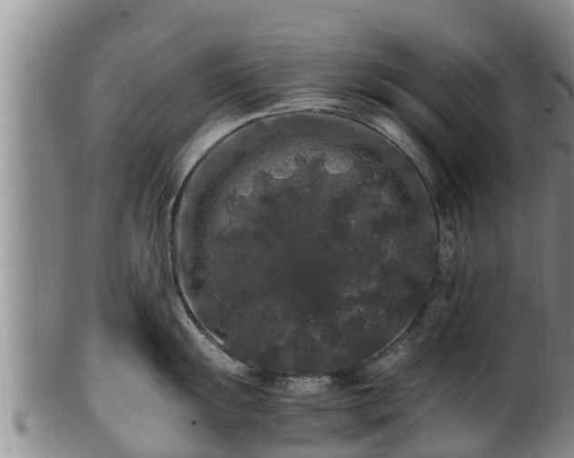 X0000100881055200806271132