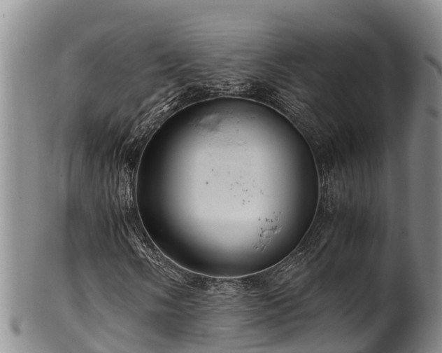 X0000100881058200806271132