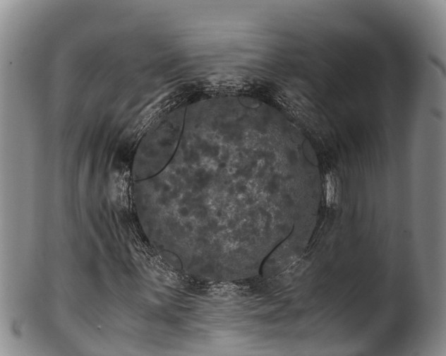 X0000100881059200806271132