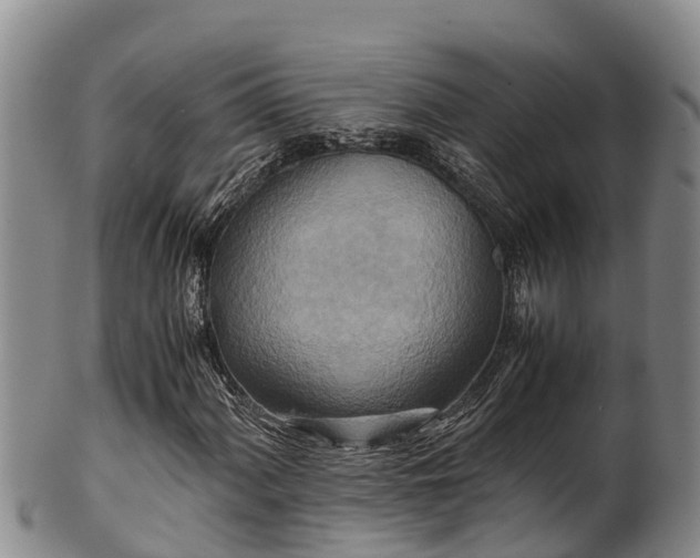 X0000100881060200806271132