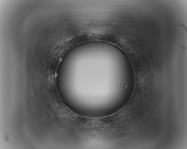 X0000100881061200806271132