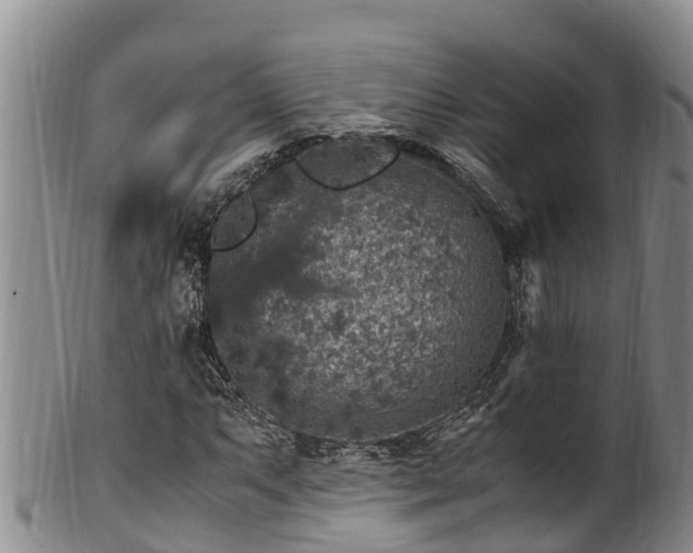 X0000100881063200806271132