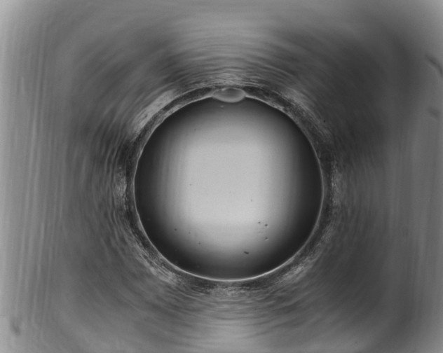 X0000100881065200806271132