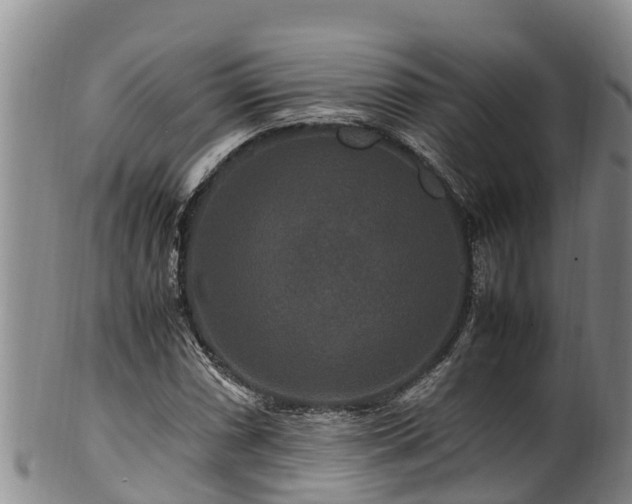 X0000100881066200806271132