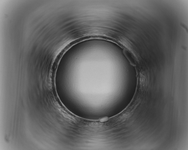 X0000100881068200806271131